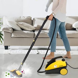 بخار شو نانیوا مدل NS-5500