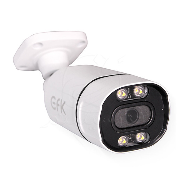 دوربین مداربسته تحت شبکه ای اف کی مدل EFK-NC440B83WL-FH